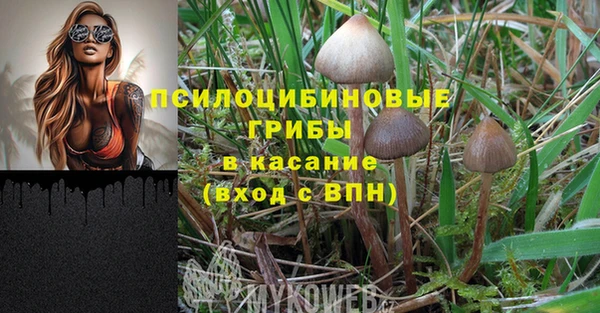 марки nbome Алзамай